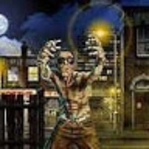 Meet your Posher, Shane